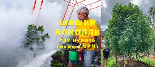 spice Козловка