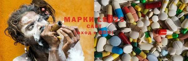 spice Козловка