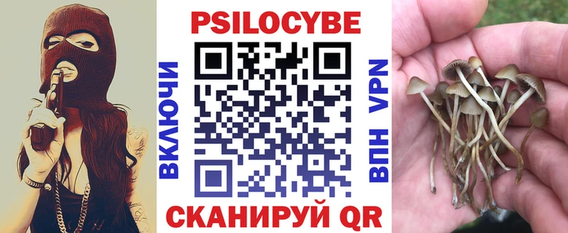 Галлюциногенные грибы мицелий  Купить закладки  Сельцо 